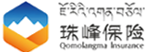 保险